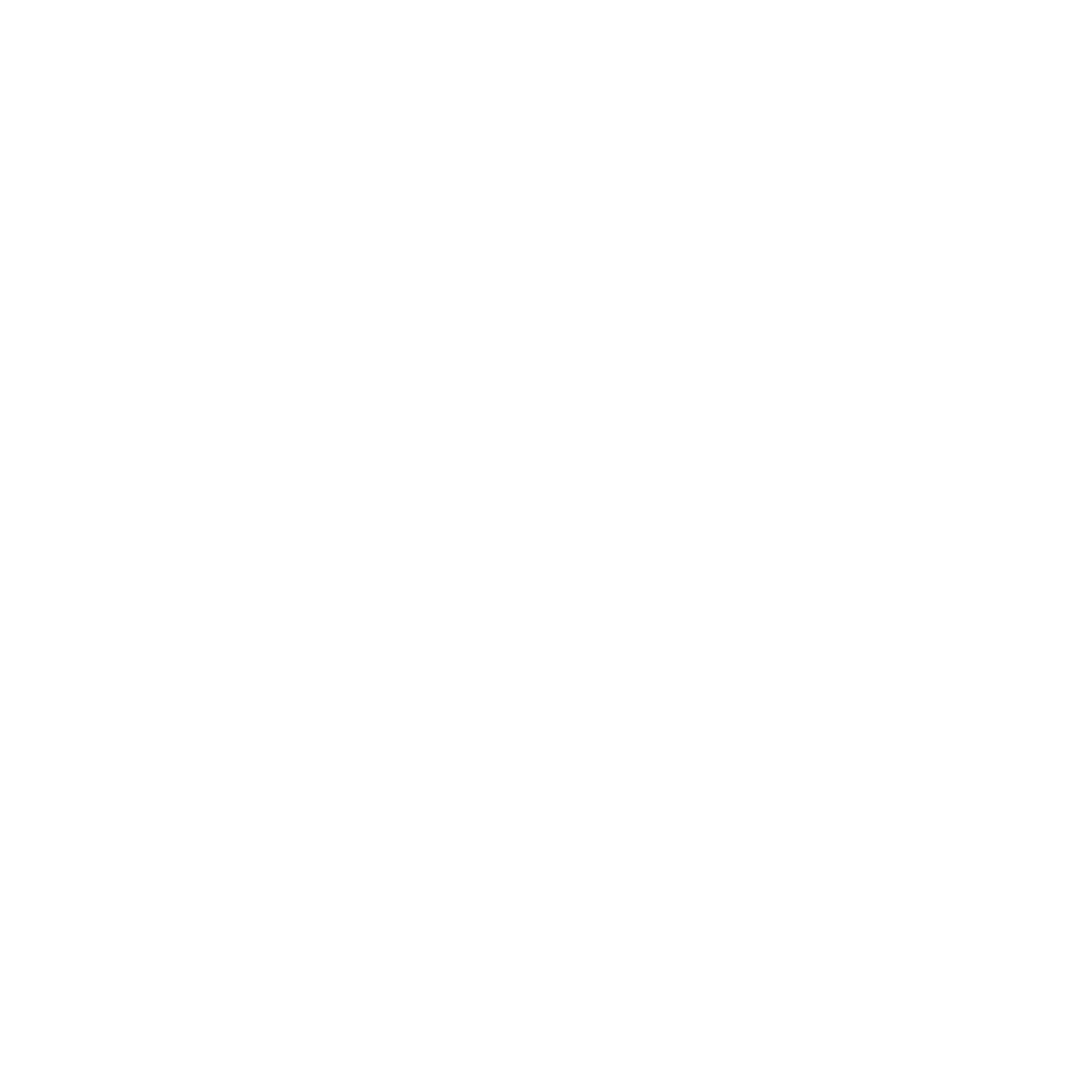 Team RWB Logo