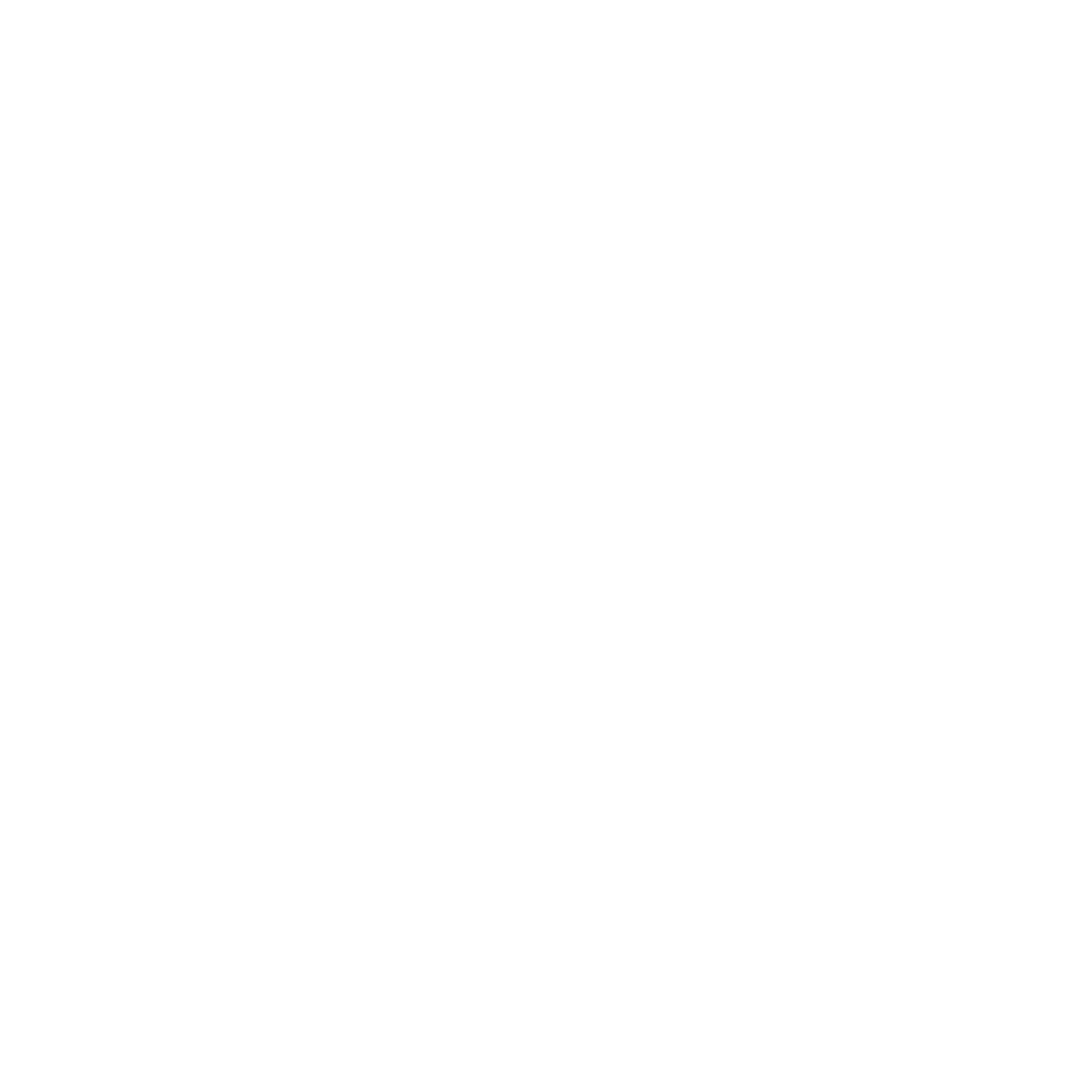 Tempo Logo